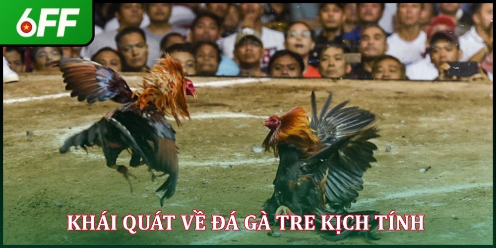 Khái quát về đá gà tre kịch tính